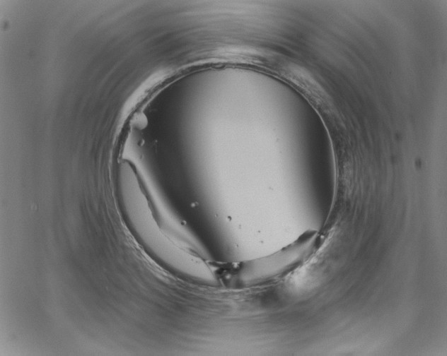 X0000067861180200604131308