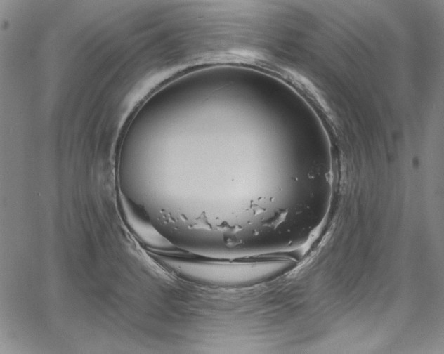 X0000067861184200604131308