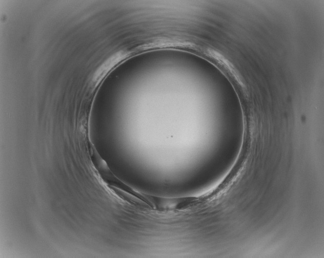 X0000067861185200604131308