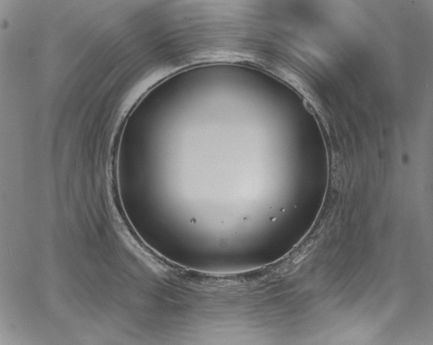 X0000067861187200604131308