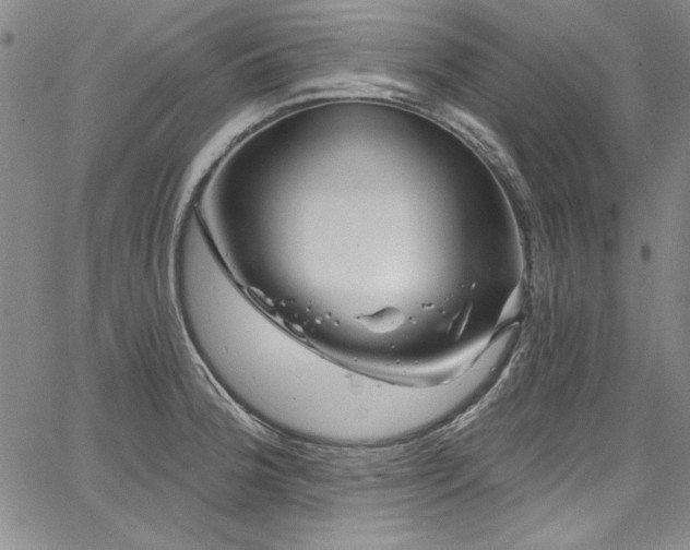 X0000067861188200604131308