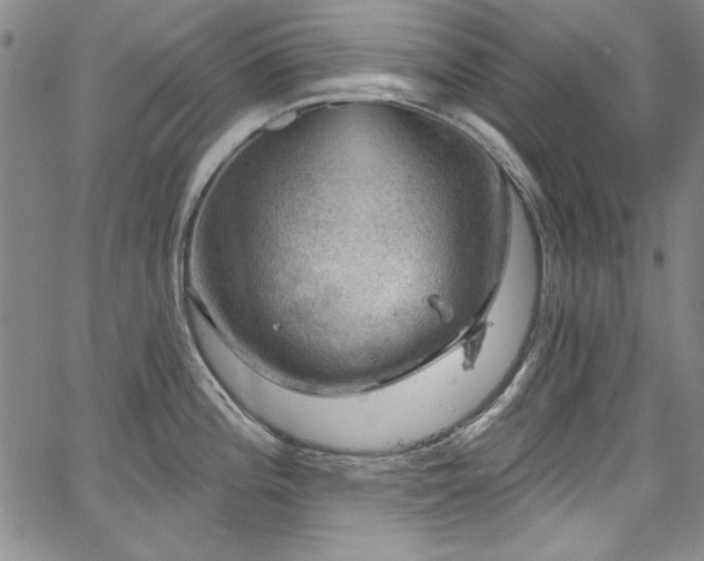 X0000067861196200604131308