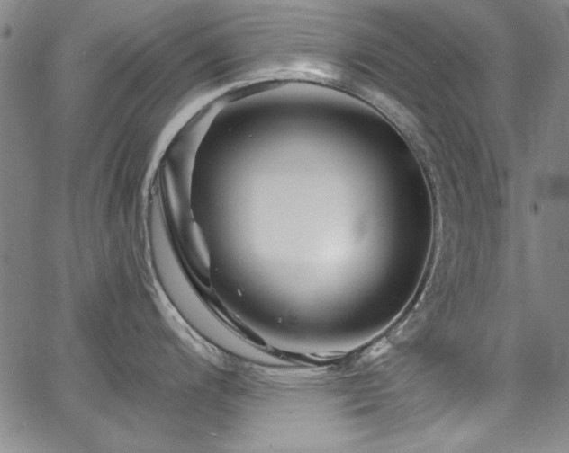 X0000067861200200604131308