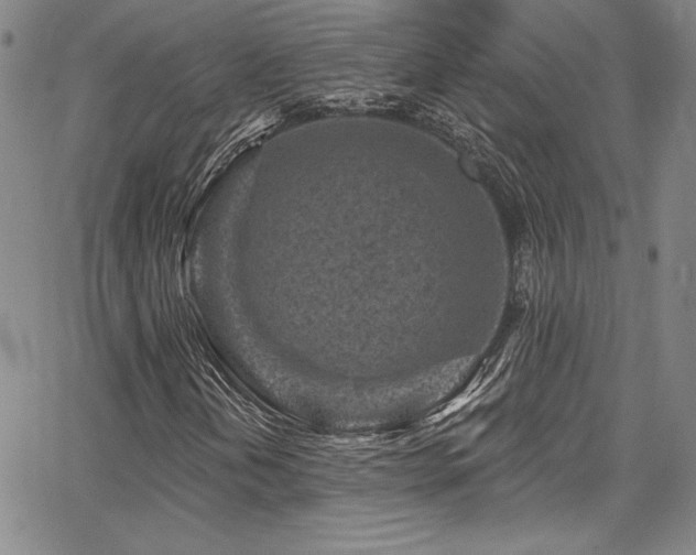 X0000067861202200604131307
