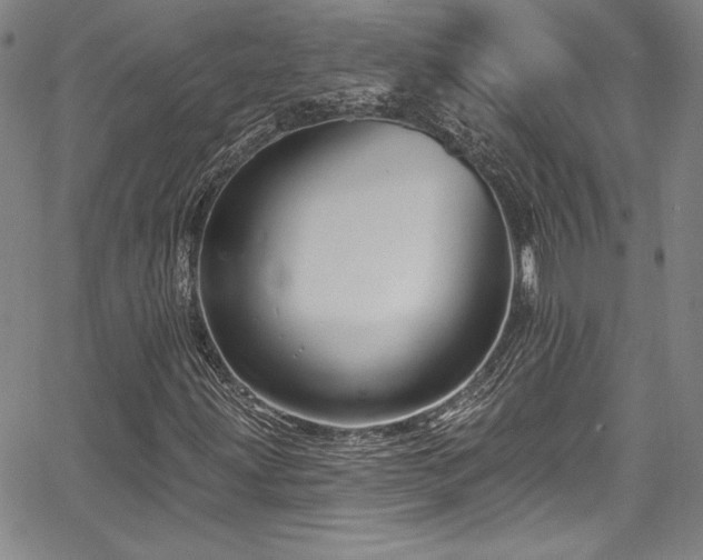 X0000067861203200604131307