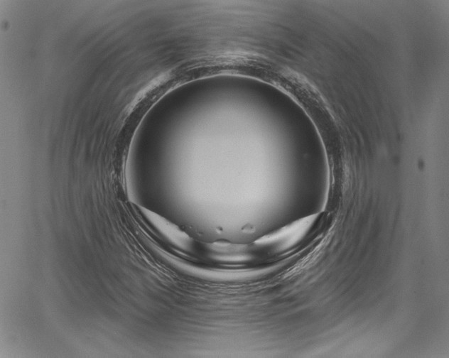 X0000067861210200604131307