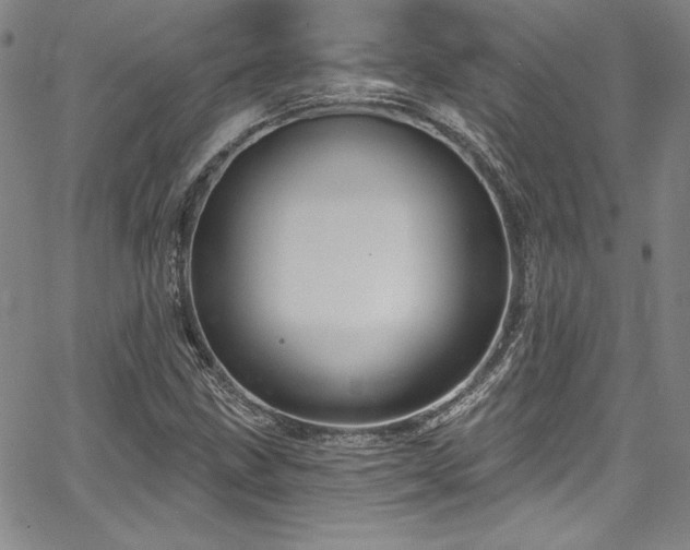 X0000067861211200604131307