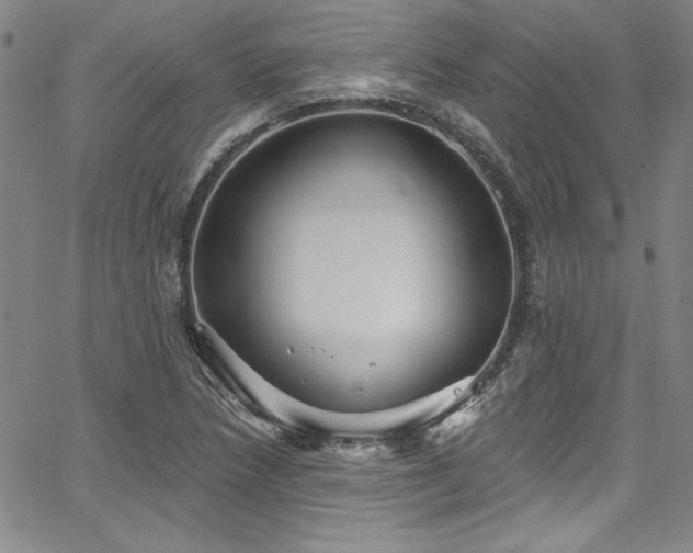 X0000067861218200604131308