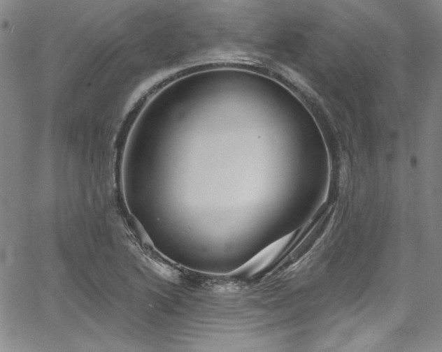X0000067861222200604131308