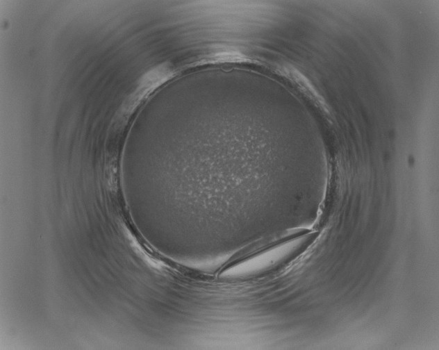 X0000067861225200604131308