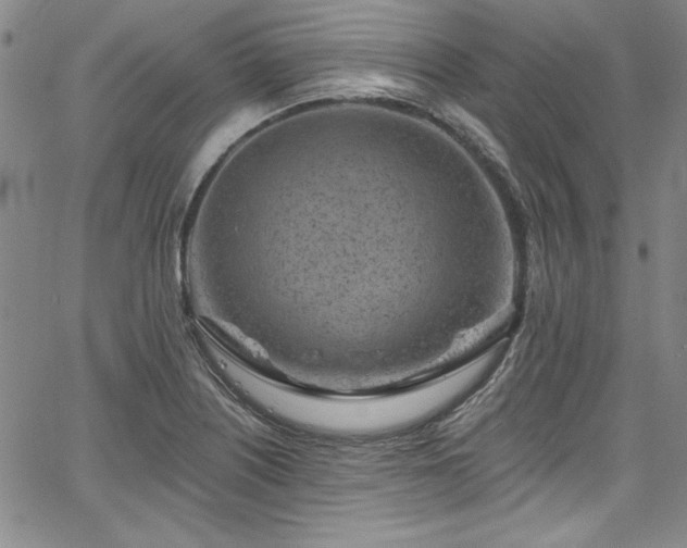 X0000067861226200604131308