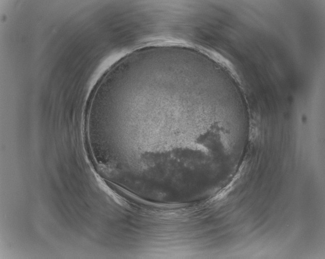 X0000067861231200604131308