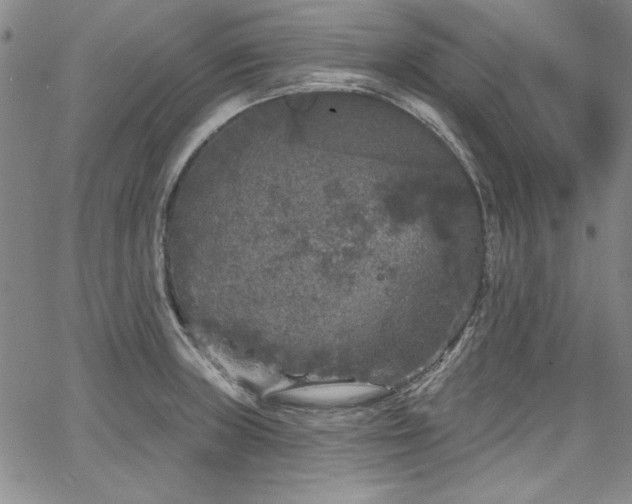 X0000067861235200604131308