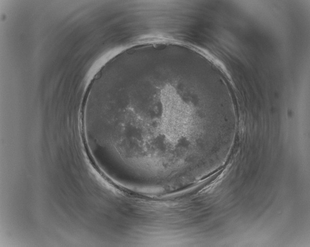 X0000067861239200604131308