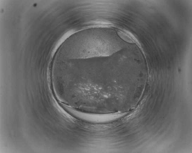 X0000067861243200604131308