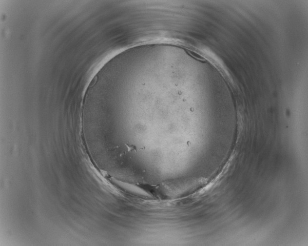 X0000067861244200604131308