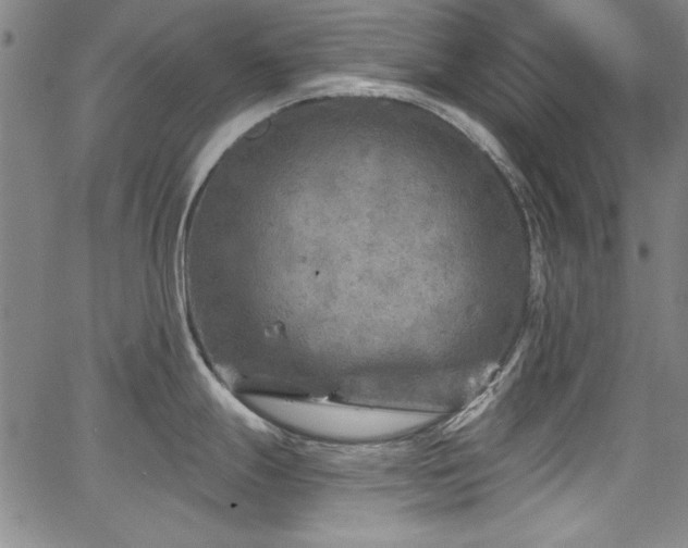 X0000067861247200604131308