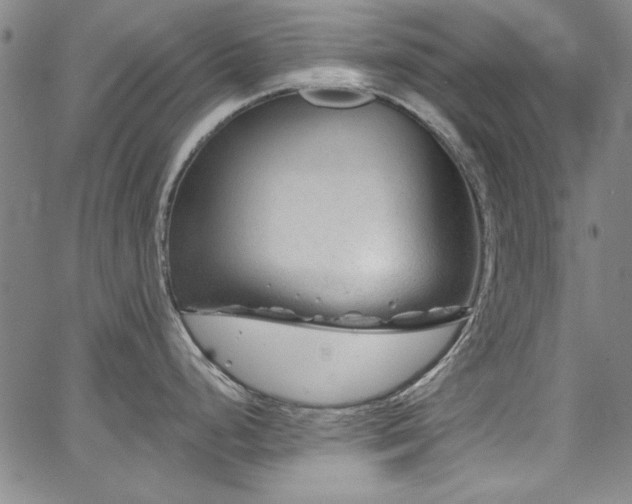 X0000067861248200604131308