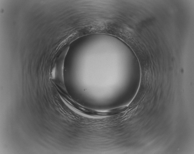 X0000067861250200604131307