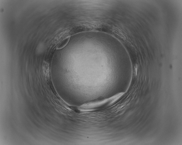X0000067861251200604131307