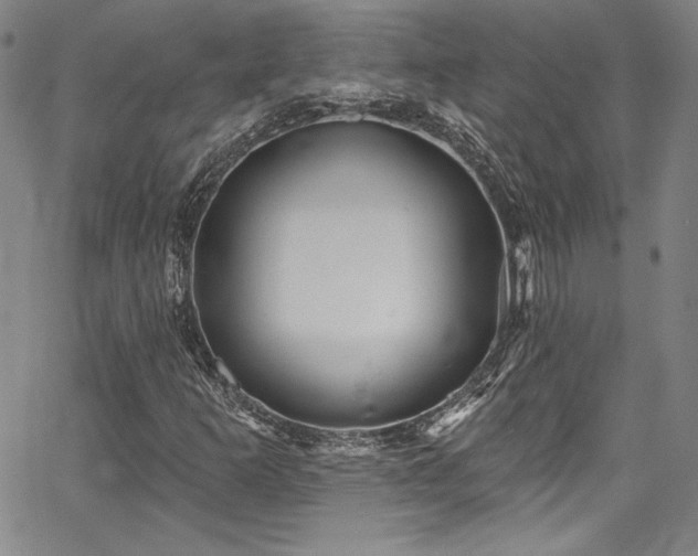 X0000067861253200604131307