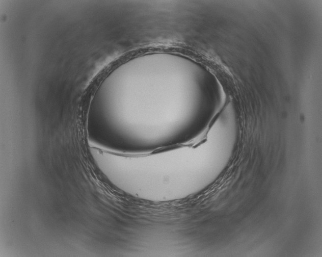 X0000067861256200604131307