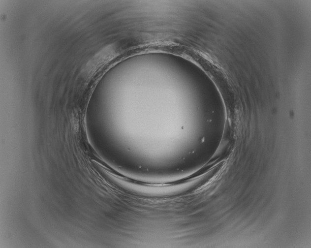X0000067861257200604131307