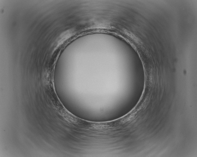 X0000067861258200604131307