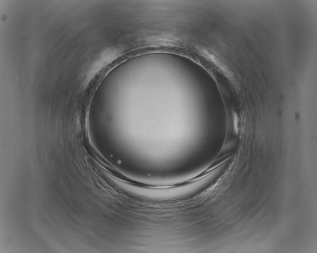X0000067861261200604131307