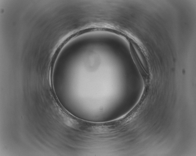 X0000067861272200604131307
