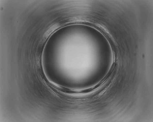 X0000067861273200604131307