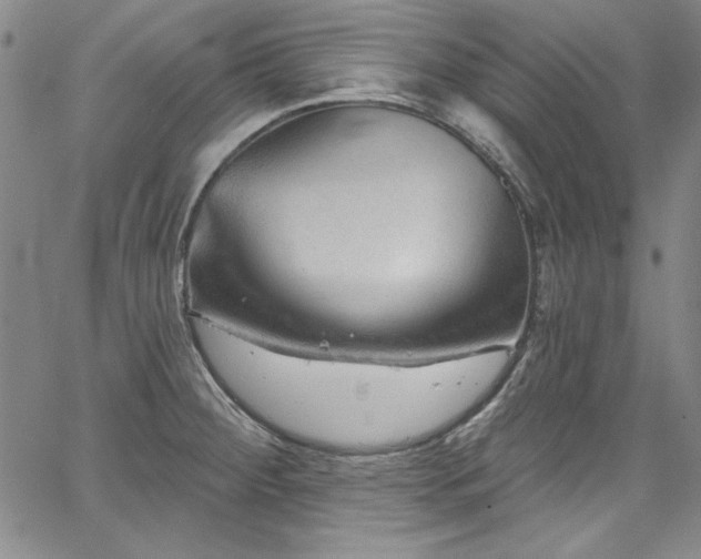 X0000067861284200604131307