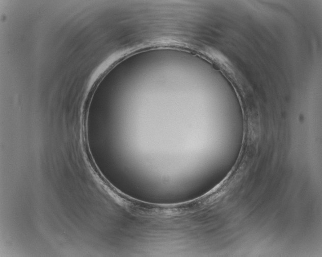 X0000067861286200604131307