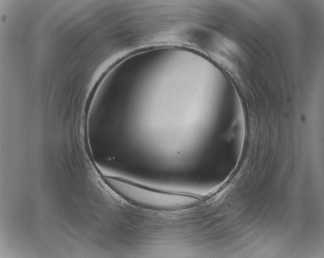 X0000067861288200604131307