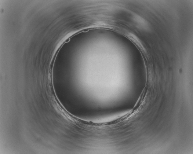 X0000067861292200604131307