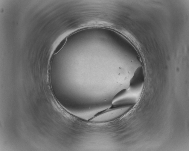 X0000067861296200604131307