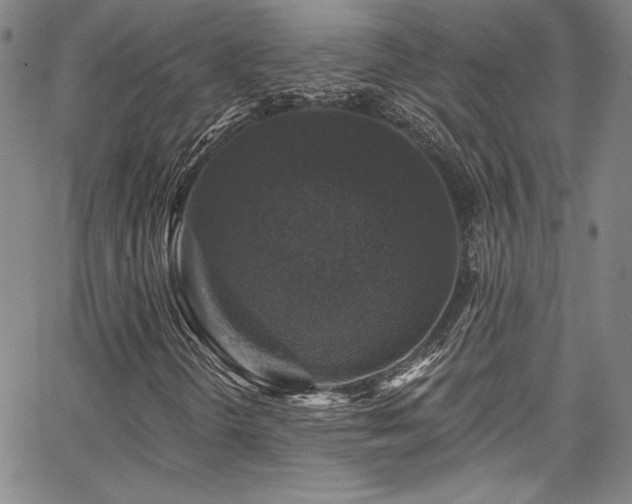 X0000067861298200604131306