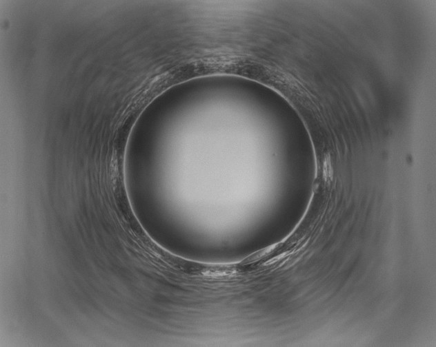 X0000067861299200604131306
