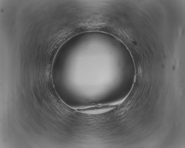 X0000067861300200604131306