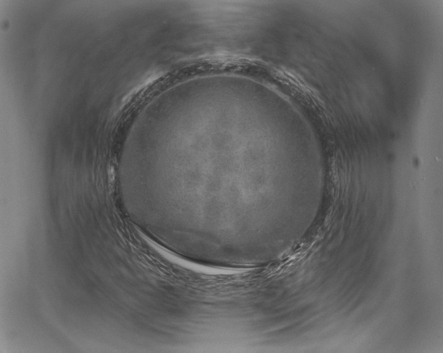 X0000067861302200604131306