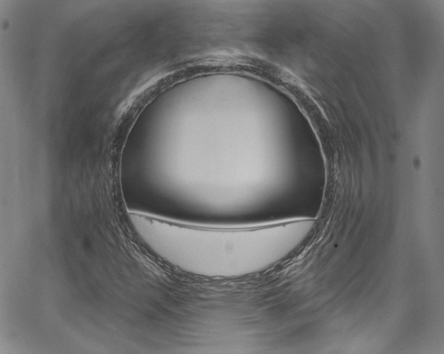 X0000067861304200604131306