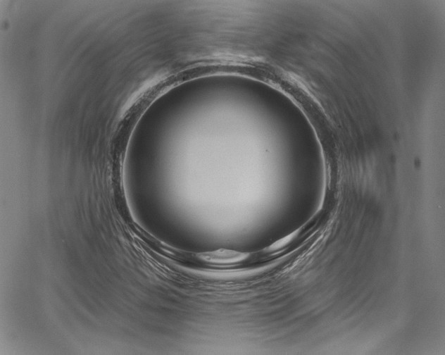 X0000067861307200604131306