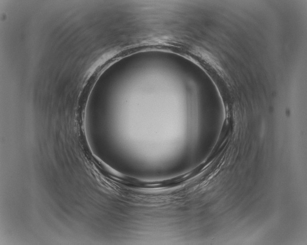 X0000067861308200604131306