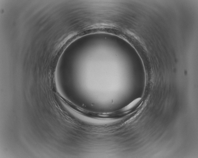 X0000067861313200604131306