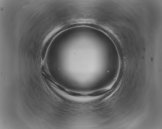 X0000067861317200604131306