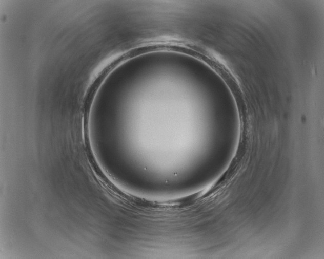 X0000067861320200604131306