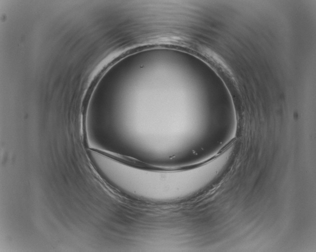 X0000067861324200604131306
