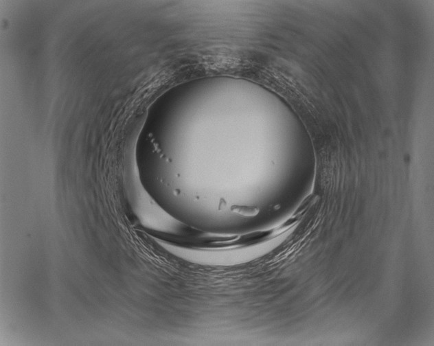 X0000067861345200604131306