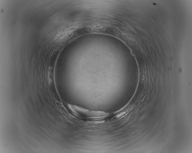 X0000067861346200604131306