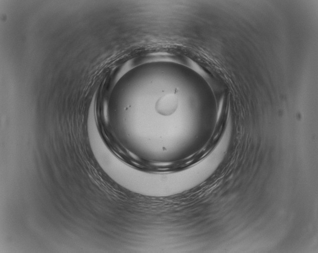 X0000067861348200604131306